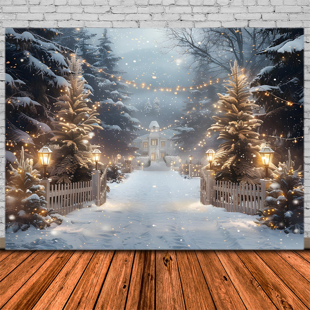 Christmas String Lights Woods House Backdrop RR8-30