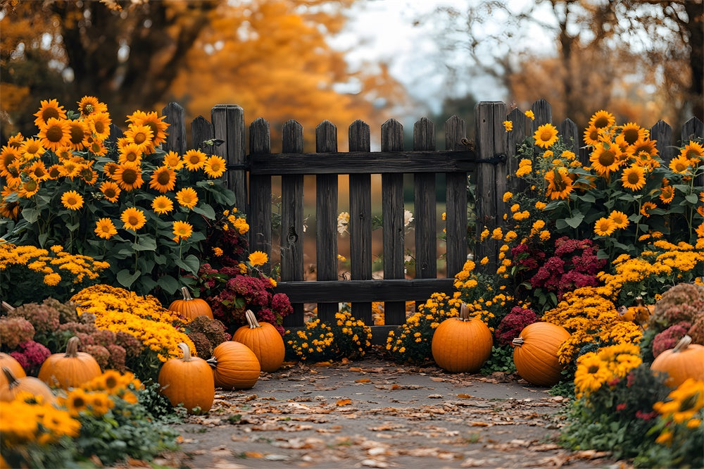 Fall Sunflower Garden Pumpkins Backdrop RR8-308