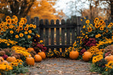 Fall Sunflower Garden Pumpkins Backdrop RR8-308