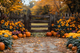 Autumn  Rustic Gate and Pumpkin Backdrop RR8-309