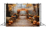 Autumn Pumpkin Glowing String Lights Backdrop RR8-317