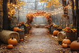 Autumn Pumpkin Glowing String Lights Backdrop RR8-317