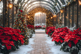 Christmas Poinsettia Glowing Garland Backdrop RR8-355