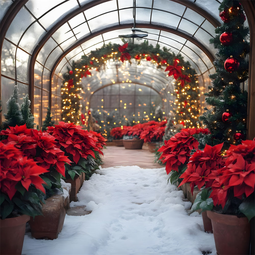 Christmas String Lights Poinsettia Garland Backdrop RR8-356