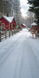 Winter Snow Sweep Village House Reindeer Backdrop RR8-358