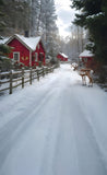 Winter Snow Sweep Village House Reindeer Backdrop RR8-358