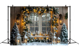 Christmas Lights Garland Window Backdrop RR8-41