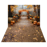 Fall Pumpkin String Lights Backdrop+Grass Dirt Floor Backdrop RR8-530