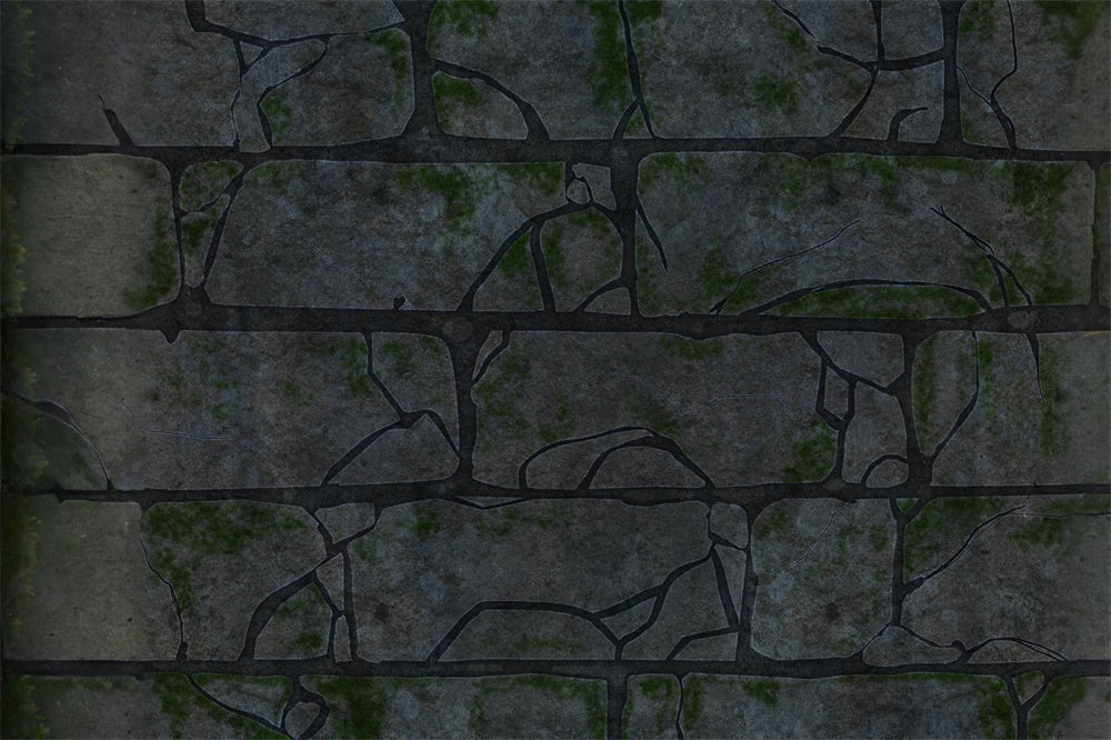 Cracked Brick Stone Trail Floor Backdrop RR8-582