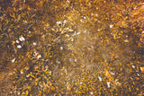 Autumn Withered Grass Leaves Floor Backdrop RR8-583