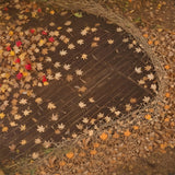 Fallen Maple Leaves Wood Floor Backdrop RR8-585