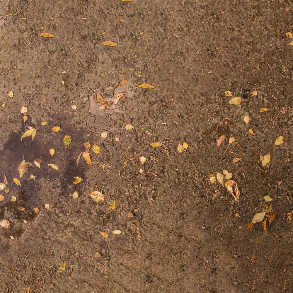 Withered Yellow Leaves Mud Floor Backdrop RR8-586