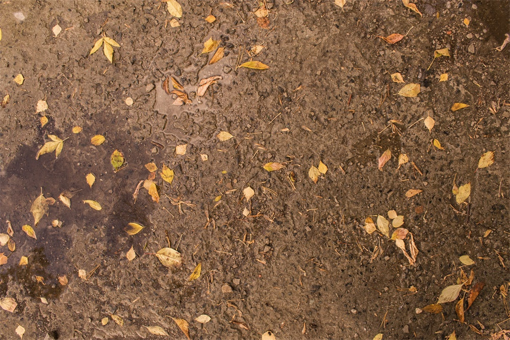 Withered Yellow Leaves Mud Floor Backdrop RR8-586