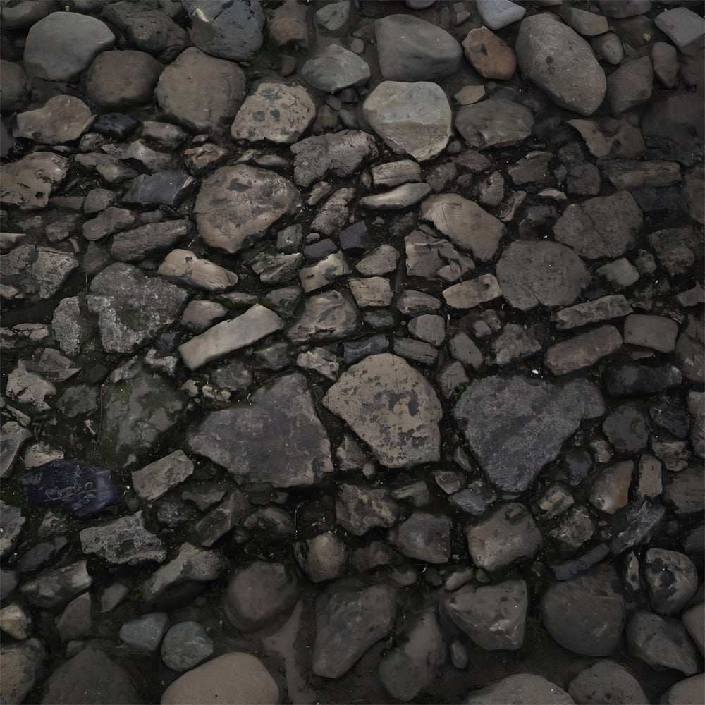 Rustic Stone Trail Texture Floor Backdrop RR8-599