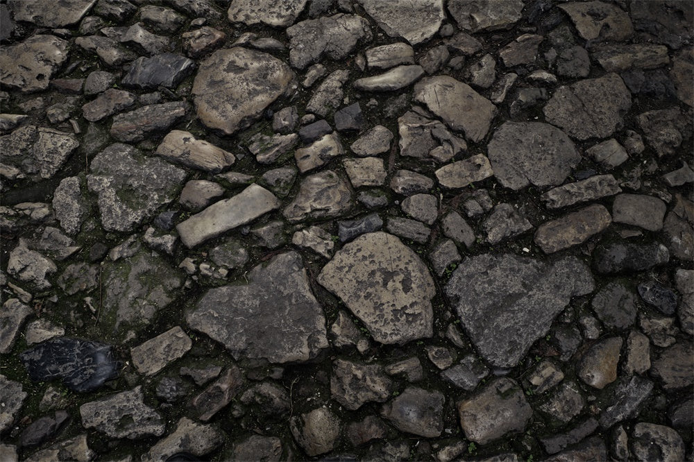 Rustic Stone Trail Texture Floor Backdrop RR8-599