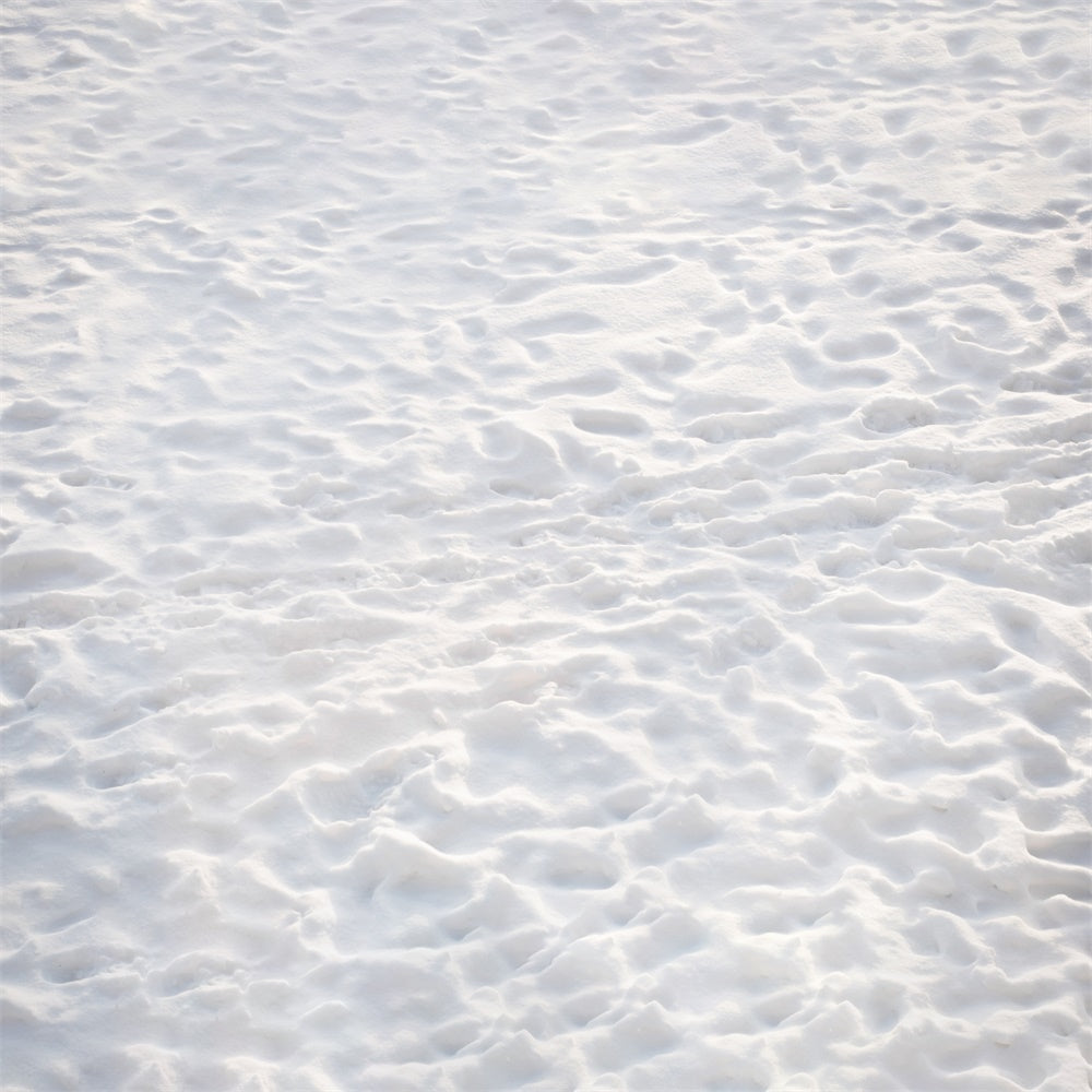 Pristine Snow Covered Floor Backdrop RR8-602