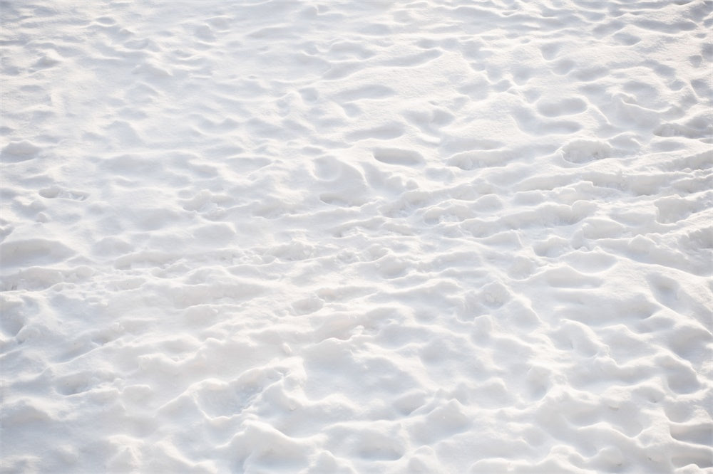 Pristine Snow Covered Floor Backdrop RR8-602