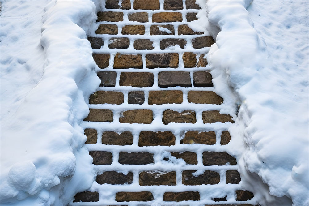 Snow Covered Stone Pathway Floor Backdrop RR8-603