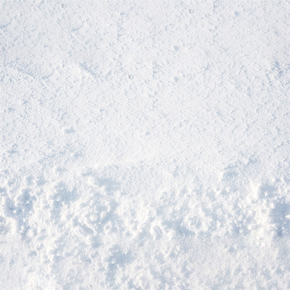 Fresh Snow Covered Floor Backdrop RR8-666