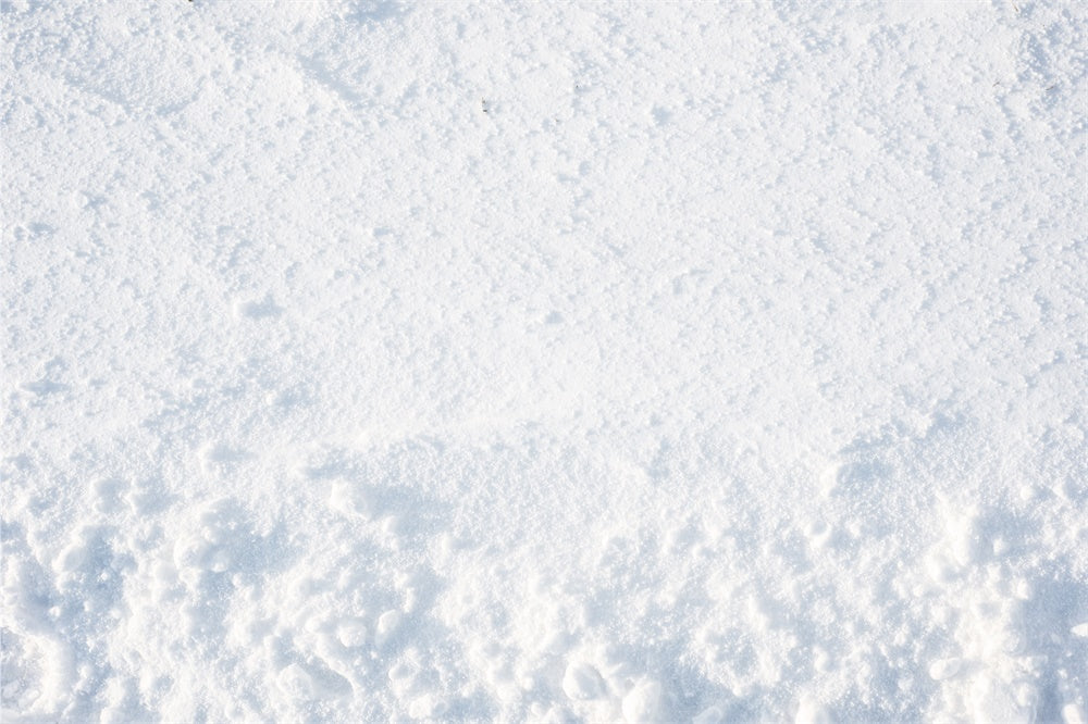 Fresh Snow Covered Floor Backdrop RR8-666