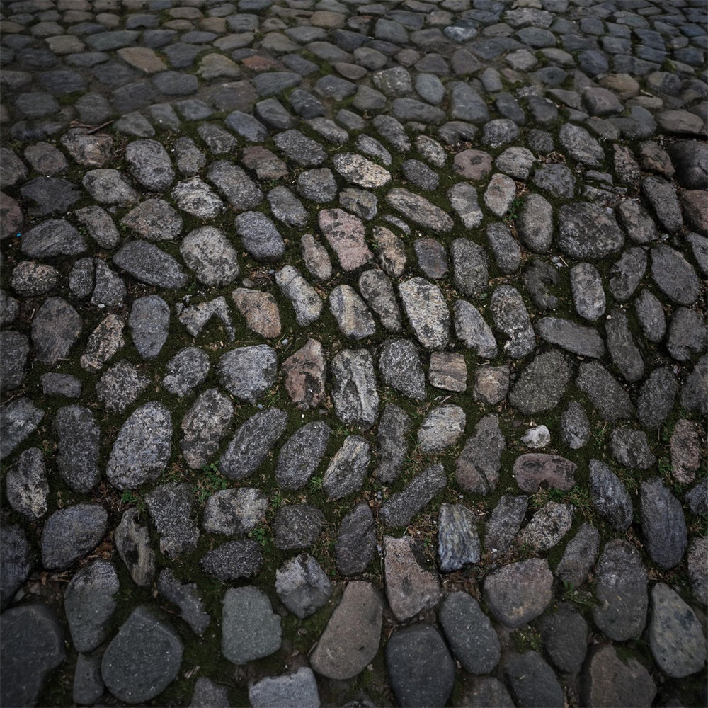 Cobblestone Pathway Floor Fabric Backdrop RR8-676