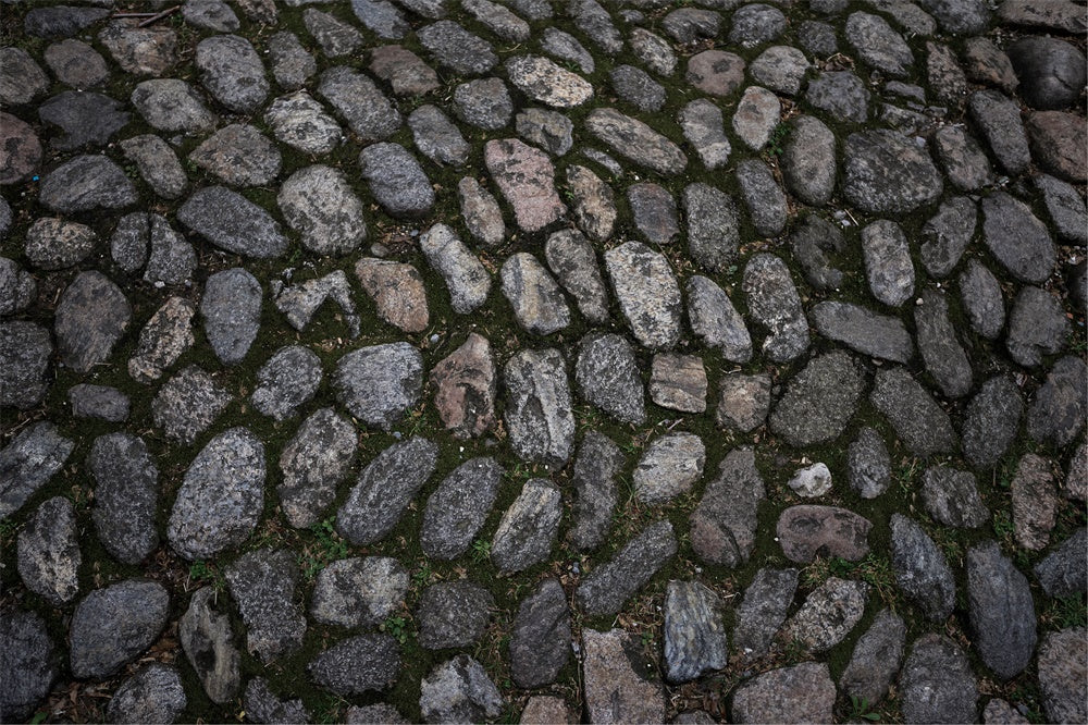 Cobblestone Pathway Floor Fabric Backdrop RR8-676