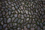 Cobblestone Pathway Floor Fabric Backdrop RR8-676