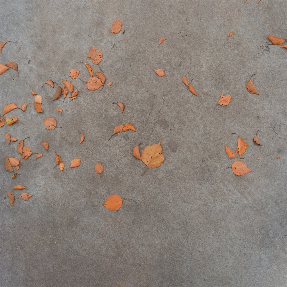 Autumn Leaves Concrete Floor Backdrop RR8-678