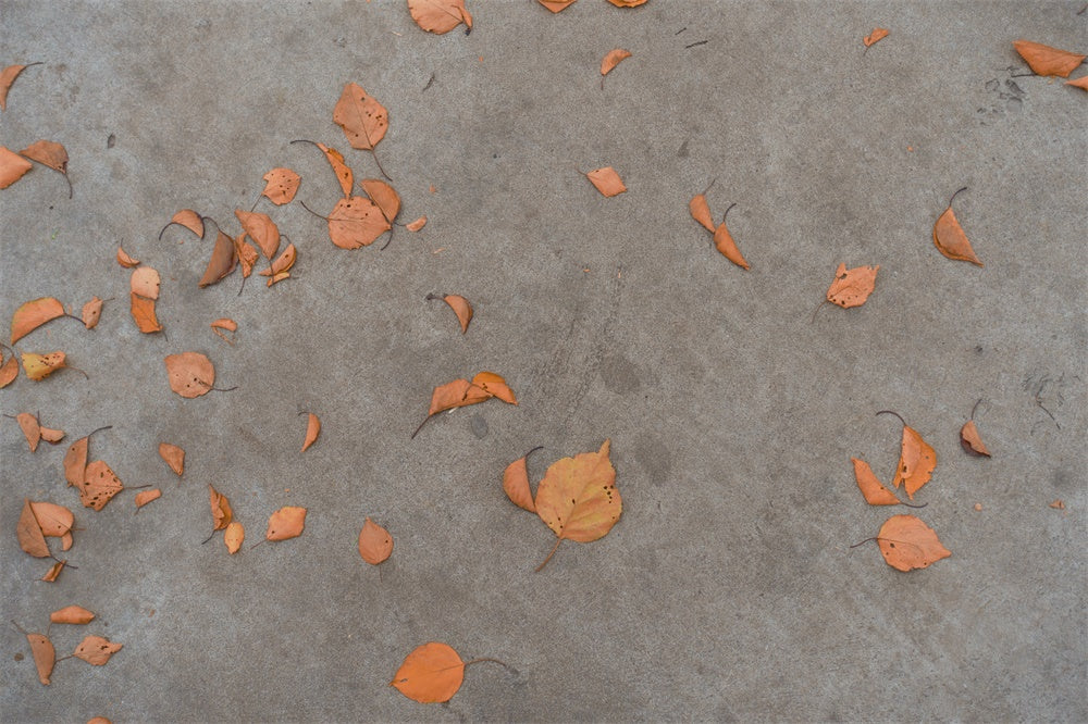 Autumn Leaves Concrete Floor Backdrop RR8-678