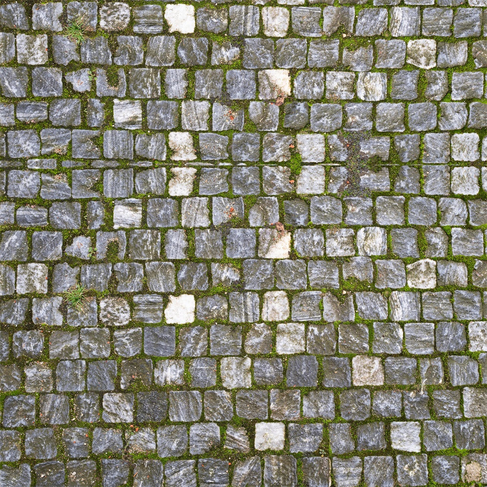 Mossy Cobble Stone Fabric Floor Backdrop RR8-680