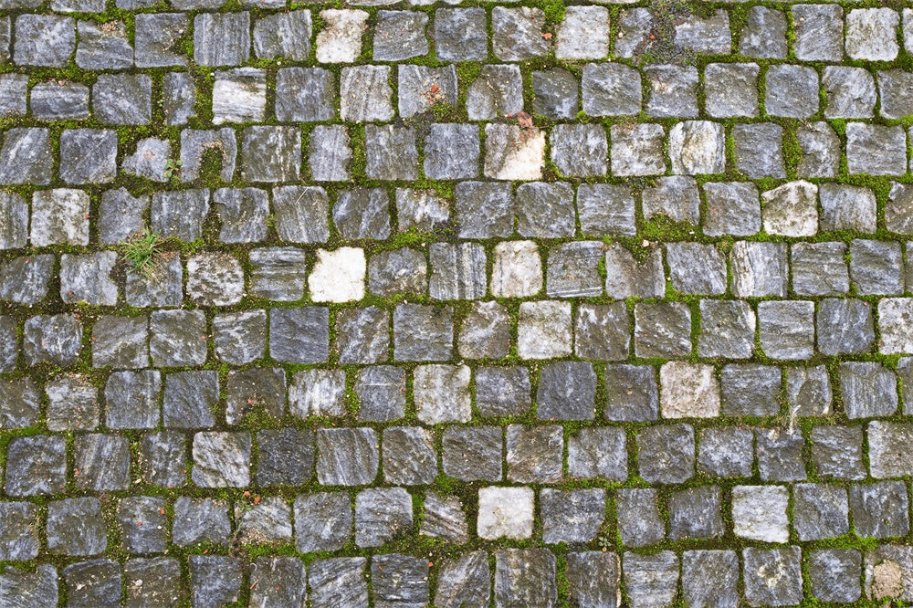 Mossy Cobble Stone Fabric Floor Backdrop RR8-680