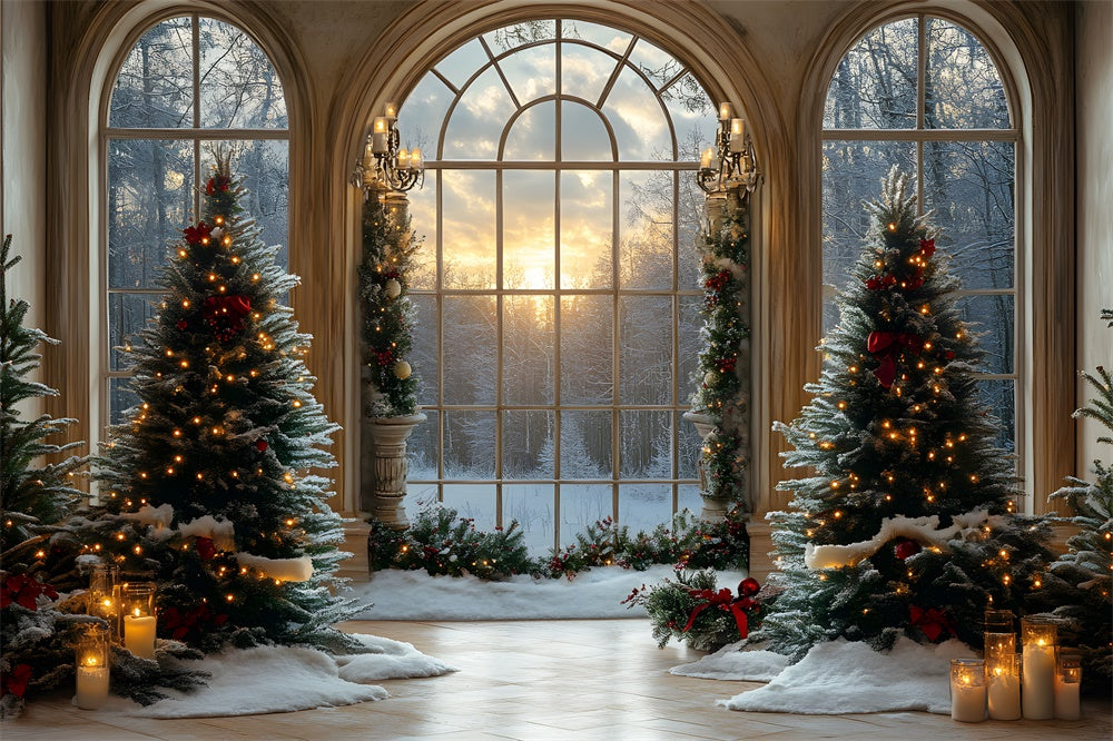 Christmas Trees Window Snowy Forest Backdrop RR8-90