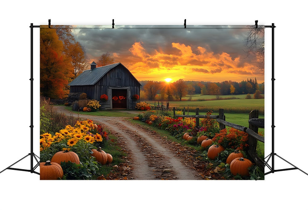 Autumn Country Road Pumpkin Sunset Backdrop RR9-1