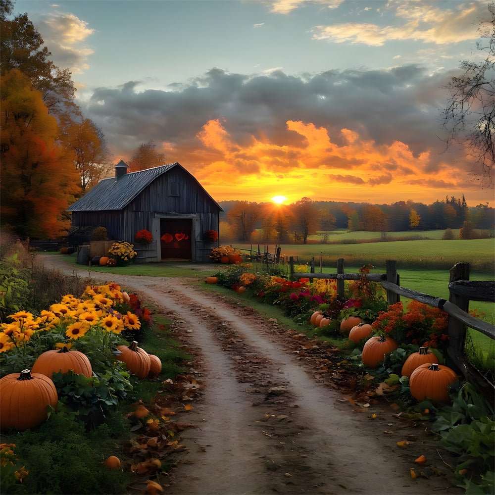 Autumn Country Road Pumpkin Sunset Backdrop RR9-1