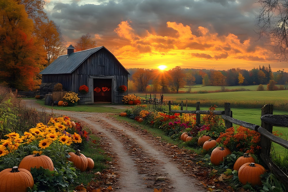 Autumn Country Road Pumpkin Sunset Backdrop RR9-1