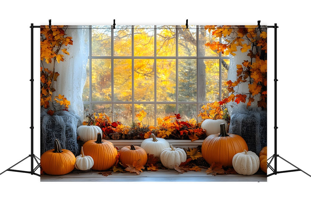 Fall Maple Trees Window View Pumpkin Backdrop RR9-27