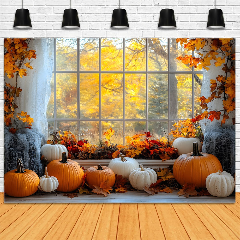 Fall Maple Trees Window View Pumpkin Backdrop RR9-27