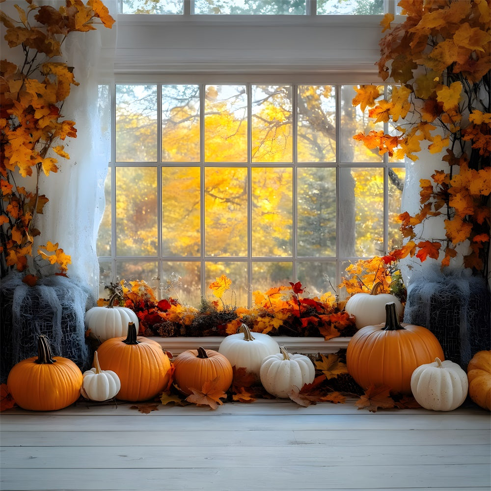 Fall Maple Trees Window View Pumpkin Backdrop RR9-27