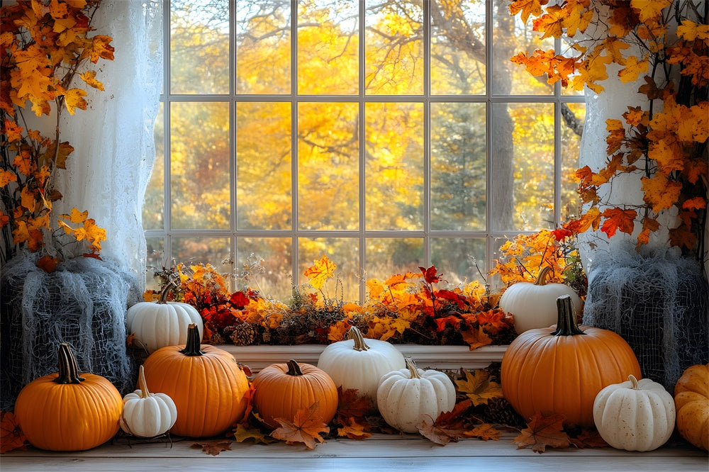 Fall Maple Trees Window View Pumpkin Backdrop RR9-27