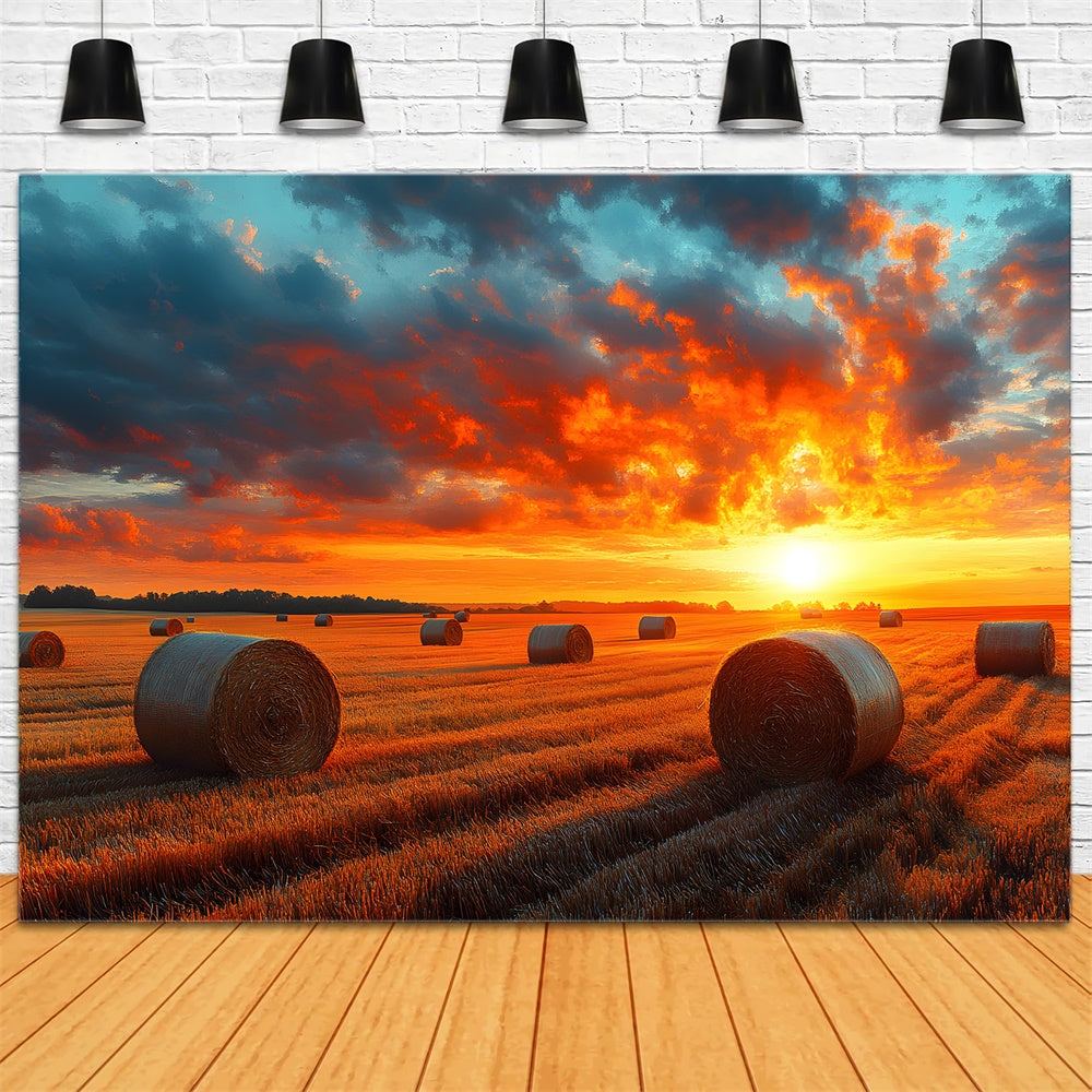 Autumn Sunset Harvest Wheat Field Backdrop RR9-29