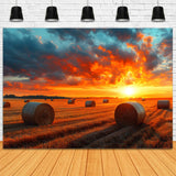 Autumn Sunset Harvest Wheat Field Backdrop RR9-29