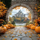 Fall Pumpkin Trail Stone Arch Door View Backdrop RR9-35