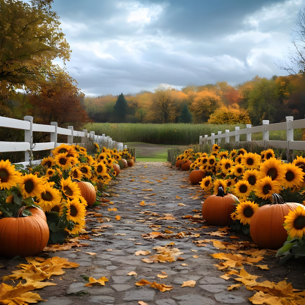 Fall Sunflower Pumpkin Trail Forest Backdrop RR9-38