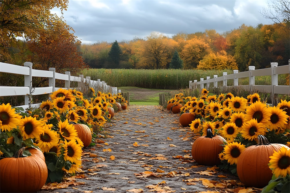 Fall Sunflower Pumpkin Trail Forest Backdrop RR9-38