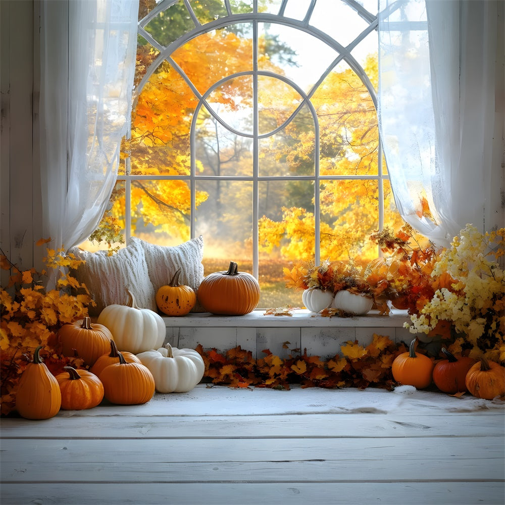 Fall Pumpkins Window Maple Trees View Backdrop RR9-4