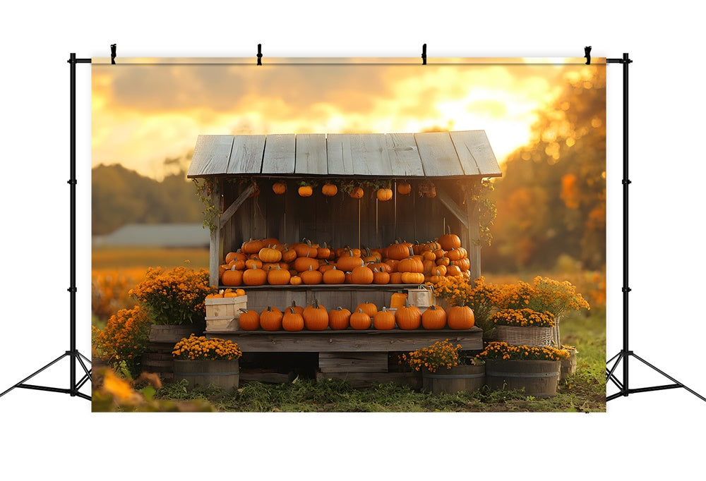 Fall Sunset Pumpkin Flowers Wood Display Backdrop RR9-40