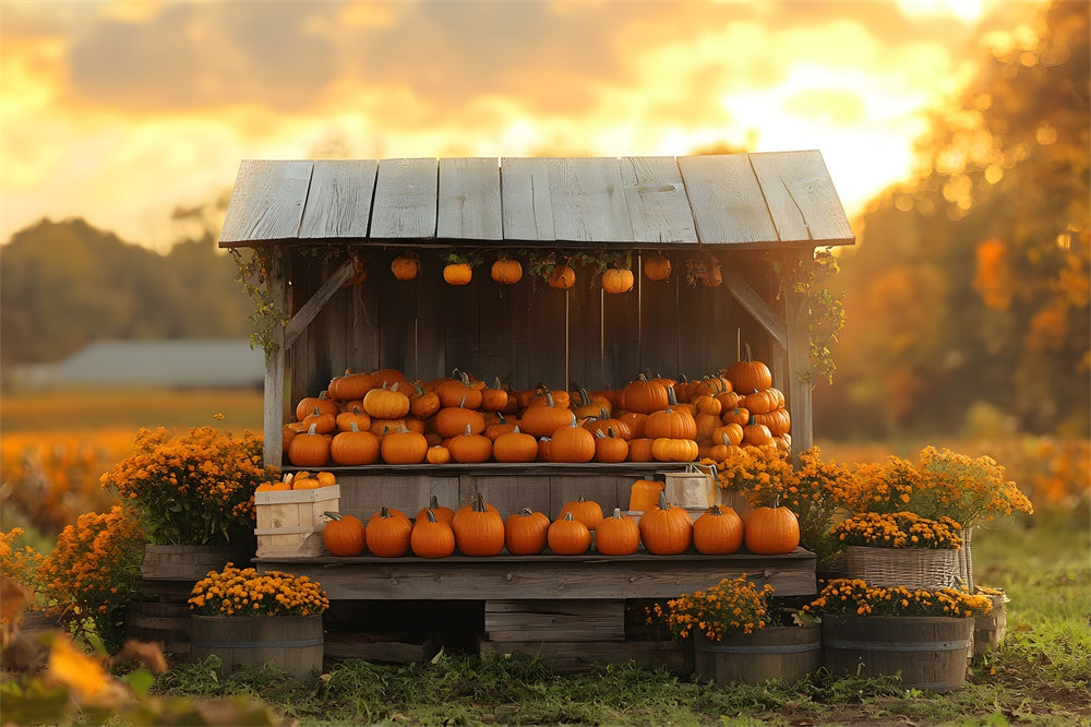 Fall Sunset Pumpkin Flowers Wood Display Backdrop RR9-40