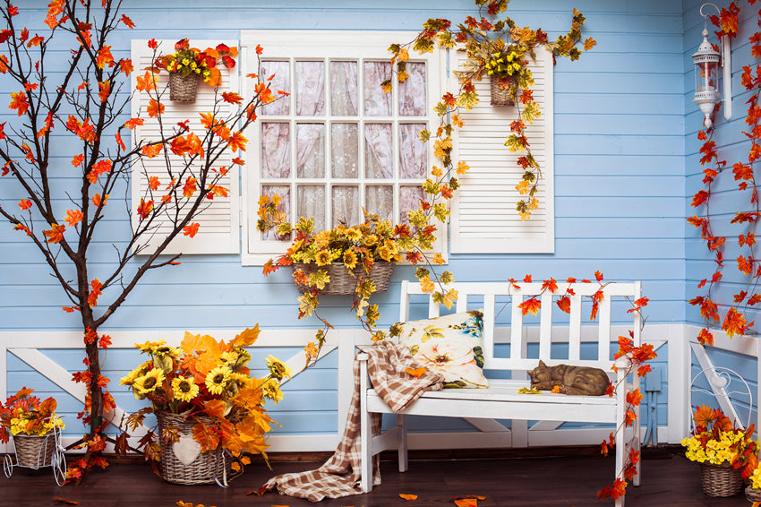 Window Backdrops Maple Leaf Photography Backgrounds Blue Backdrops S-3066