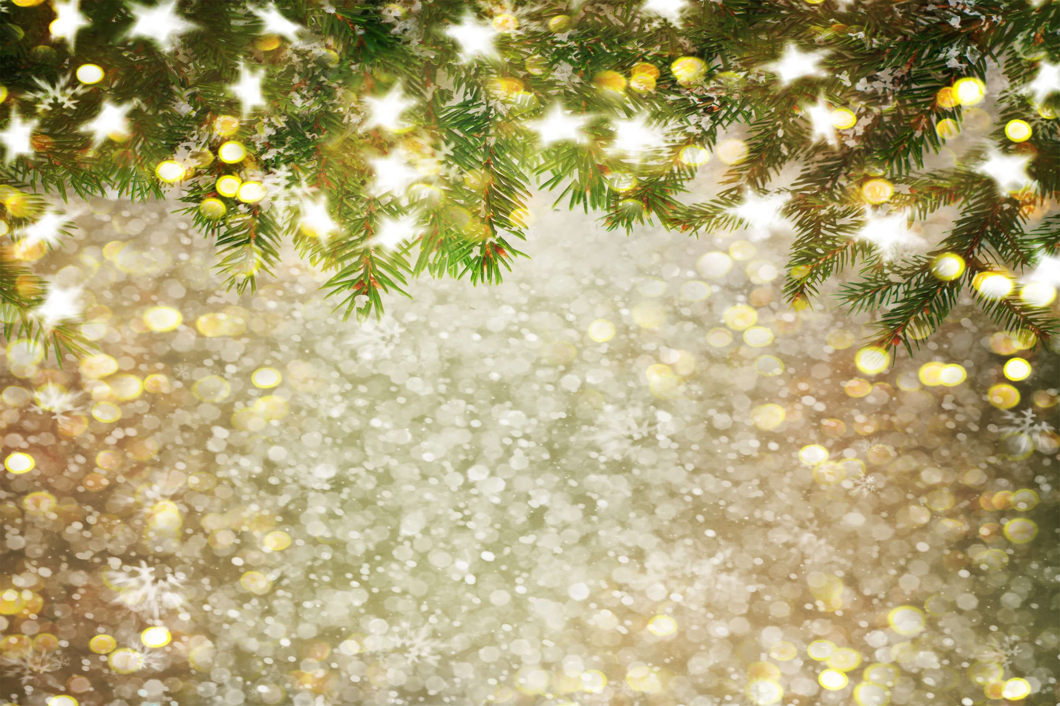 Bokeh Christams Tree Snowflake Stars Backdrop for Studio S-3180