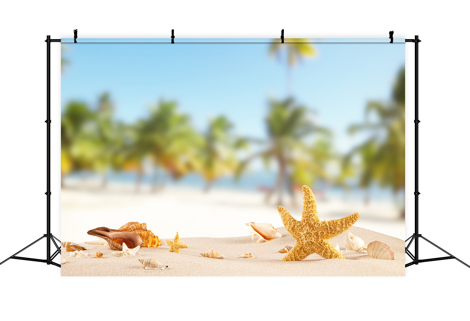 Beach Starfish Summer Holiday Photo Backdrop S-3207